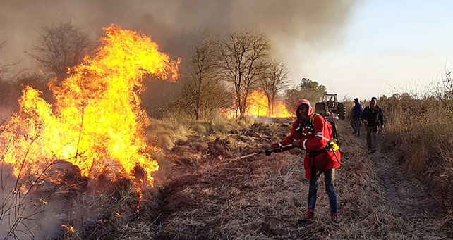 PREOCUPAN LOS INCENDIOS EN CHACO Y SANTIAGO DEL ESTERO AGROPERFILES