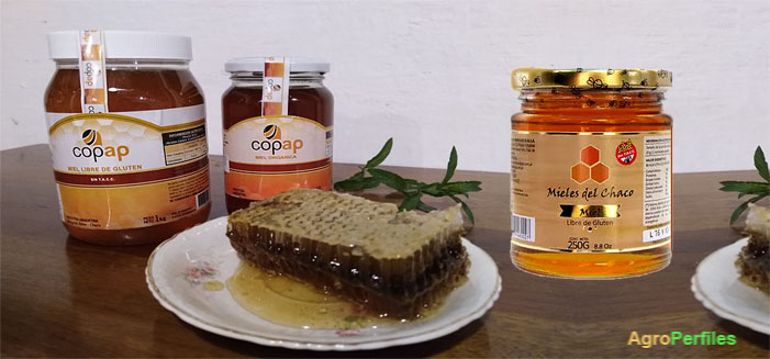 “Más miel todo el año”, la campaña lanzada por el MAGyP