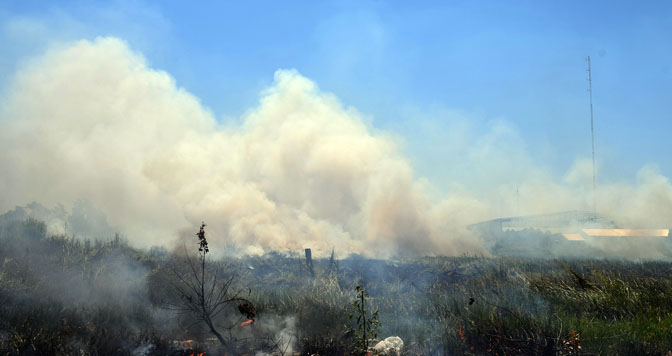 La propiedad de los suelos se vio afectada por los incendios en Corrientes