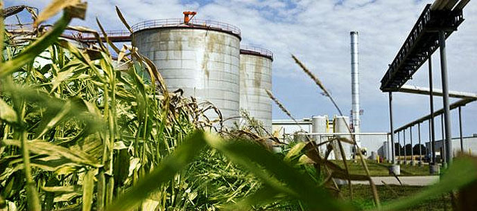Bioetanol: Jujuy reclama un debate nacional