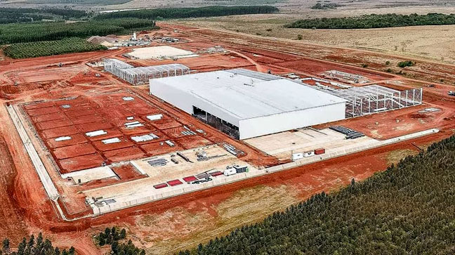 En Virasoro avanza la construcción del aserradero más grande del país