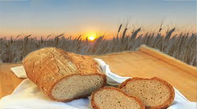 El trigo y el pan: el pato de la Boda es el productor