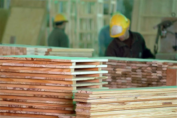 Madereros de Corrientes y Misiones piden quita de retenciones a la madera aserrada