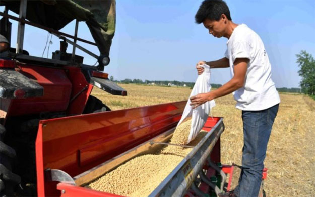 China cada vez siembra más soja: superó las 10 millones de hectáreas