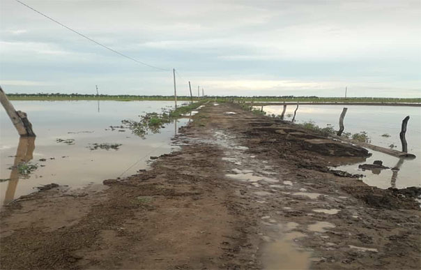 Alivio por las lluvias en Chaco, pero en el Este falta agua