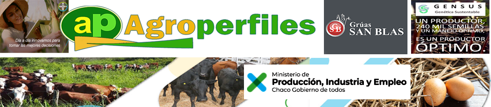 Header AD Image