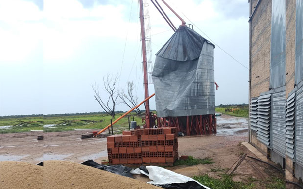 Tornado destruye instalaciones de productor av cola al oeste de